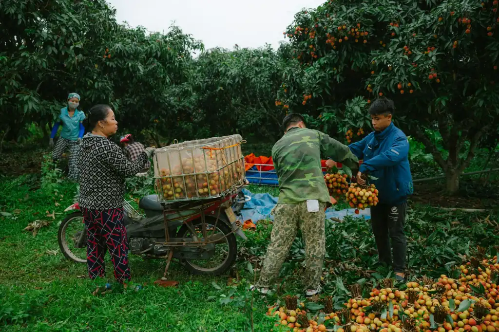 乐取驿站智能寄存柜在社区场景的应用方案与选型要点