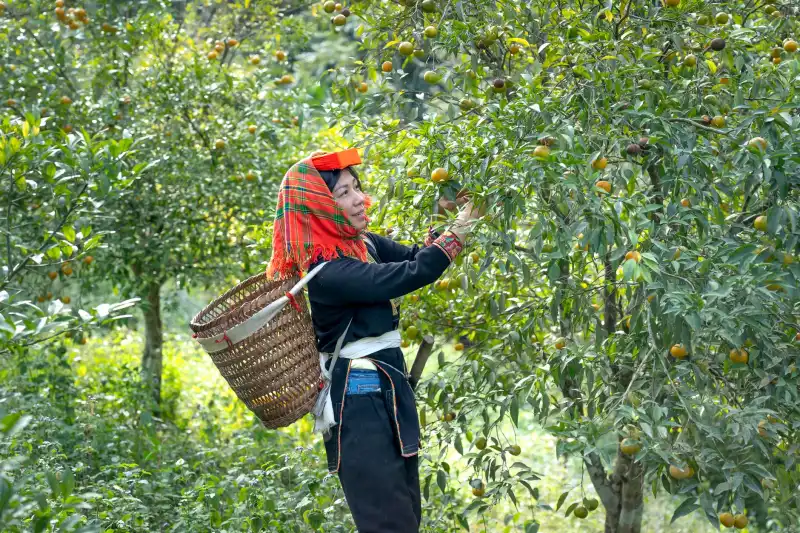 生鲜自提柜在社区场景中的应用方案与案例解析